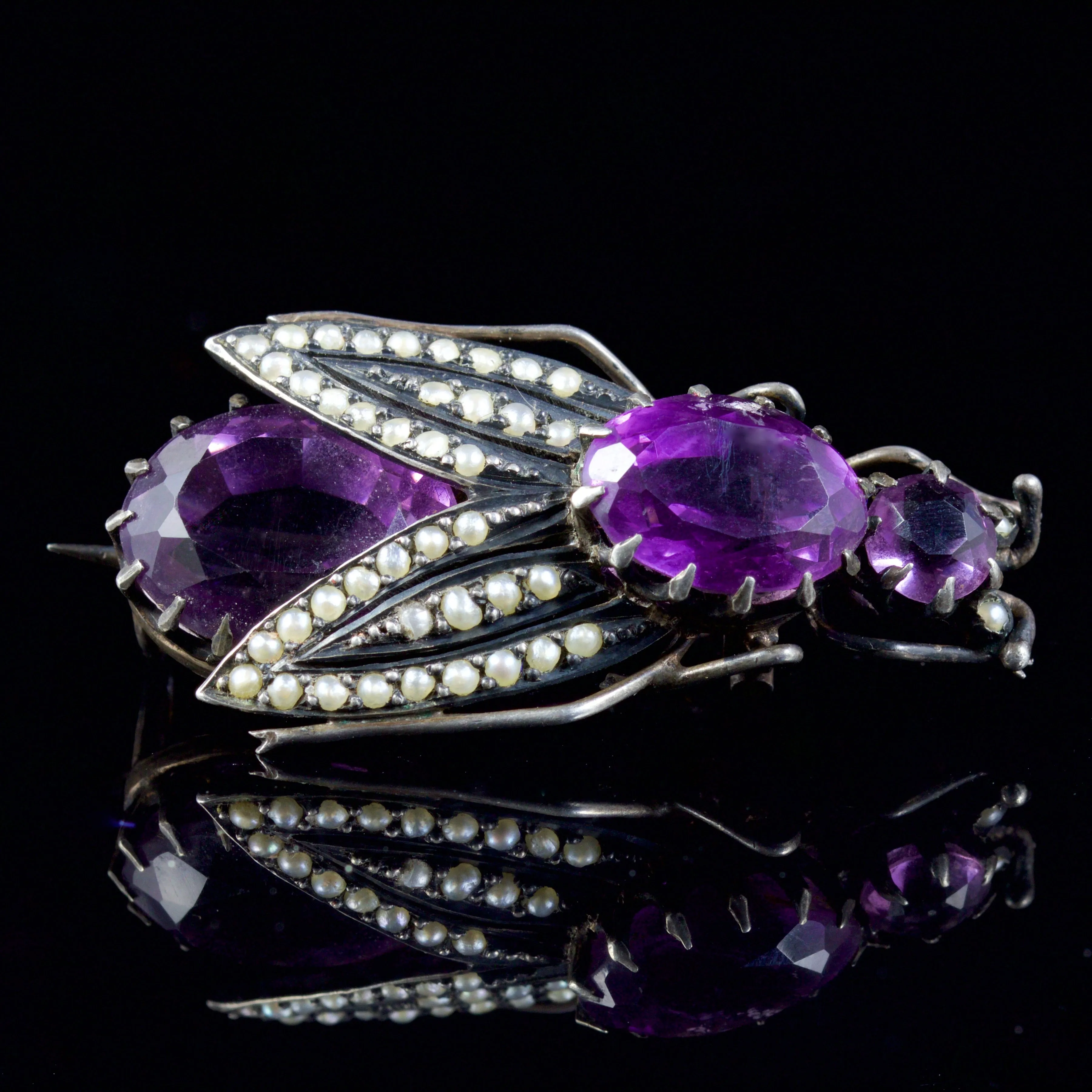 Antique Victorian Amethyst Pearl Bug Brooch 10Ct Amethyst Silver Circa 1900