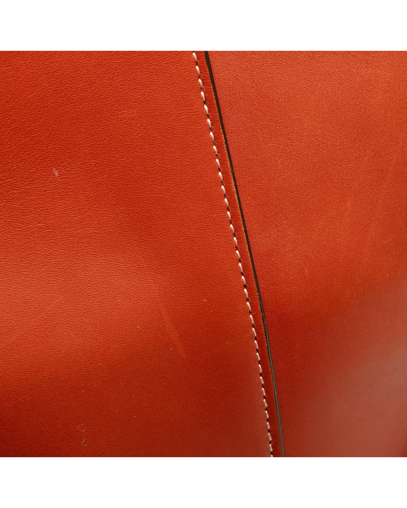 Celine Triomphe Bucket Bag in Brown Leather